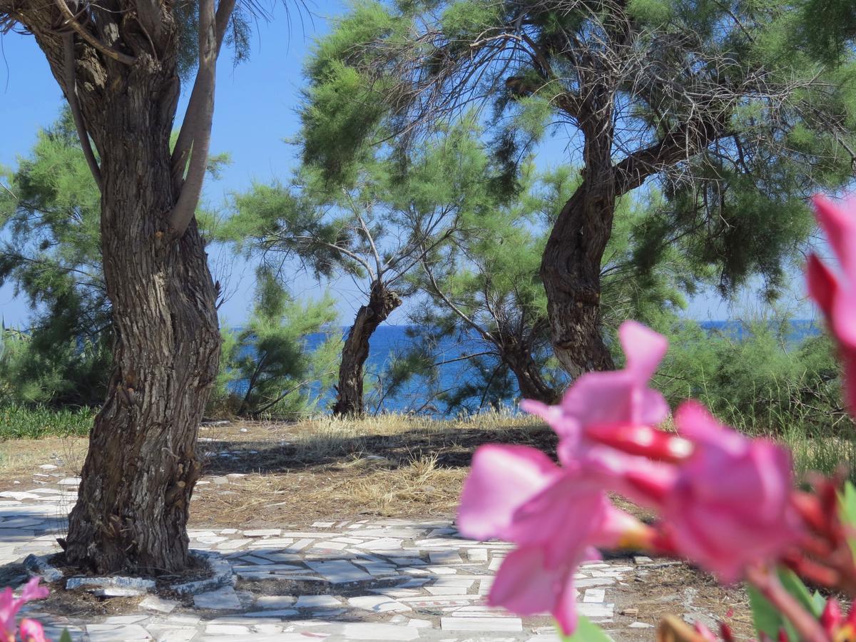 Loukas Beach Rooms Kiotari Exterior foto